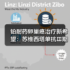 铂耐药卵巢癌治疗新希望:苏维西塔单抗Ⅲ期临床数据解读(图3) 铂耐药卵巢癌治疗新希望:苏维西塔单抗Ⅲ期临床数据解读(图3)