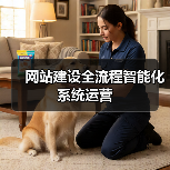 网站建设全流程智能化系统运营