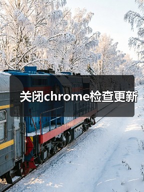 关闭chrome检查更新(图2) 关闭chrome检查更新(图2)