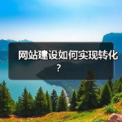 网站建设如何实现转化？（图4）