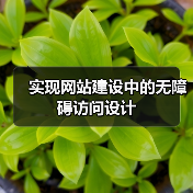 实现网站建设中的无障碍访问设计
