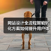 网站设计全流程智能转化方案如何提升用户体验？（图2）