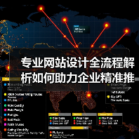 专业网站设计全流程解析如何助力企业精准推广？（图2）
