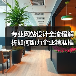 专业网站设计全流程解析如何助力企业精准推广？（图4）