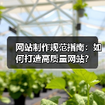 网站制作规范指南:如何打造高质量网站?(图3) 网站制作规范指南:如何打造高质量网站?(图3)