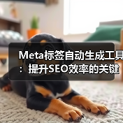 Meta标签自动生成工具：提升SEO效率的关键（图4）
