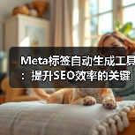 Meta标签自动生成工具：提升SEO效率的关键
