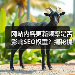 网站内容更新频率是否影响SEO权重？揭秘提升排名的关键策略（图4）