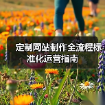 定制网站制作全流程标准化运营指南(图3) 定制网站制作全流程标准化运营指南(图3)