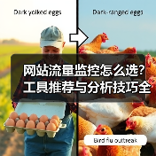 网站流量监控怎么选？工具推荐与分析技巧全解析