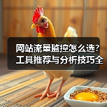 网站流量监控怎么选?工具推荐与分析技巧全解析(图4) 网站流量监控怎么选?工具推荐与分析技巧全解析(图4)