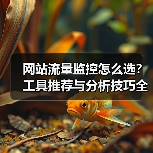网站流量监控怎么选?工具推荐与分析技巧全解析(图2) 网站流量监控怎么选?工具推荐与分析技巧全解析(图2)