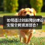 如何通过创新网站建设实现全网资源整合？（图3）