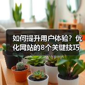 如何提升用户体验？优化网站的8个关键技巧