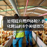 如何提升用户体验?优化网站的8个关键技巧(图3) 如何提升用户体验?优化网站的8个关键技巧(图3)
