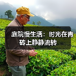 庭院慢生活:时光在青砖上静静流转(图3) 庭院慢生活:时光在青砖上静静流转(图3)
