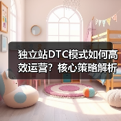 独立站DTC模式如何高效运营?核心策略解析(图4) 独立站DTC模式如何高效运营?核心策略解析(图4)