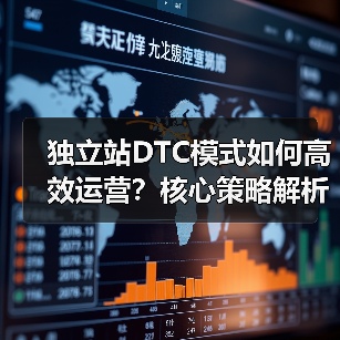独立站DTC模式如何高效运营?核心策略解析(图3) 独立站DTC模式如何高效运营?核心策略解析(图3)