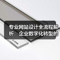 专业网站设计全流程解析:企业数字化转型的关键步骤(图2) 专业网站设计全流程解析:企业数字化转型的关键步骤(图2)