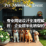专业网站设计全流程解析：企业数字化转型的关键步骤