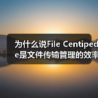 为什么说File Centipede是文件传输管理的效率利器？（图2）