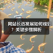 网站长远发展如何规划?关键步骤解析(图2) 网站长远发展如何规划?关键步骤解析(图2)