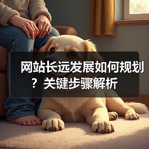 网站长远发展如何规划?关键步骤解析(图3) 网站长远发展如何规划?关键步骤解析(图3)