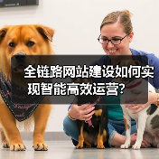 全链路网站建设如何实现智能高效运营?(图4) 全链路网站建设如何实现智能高效运营?(图4)