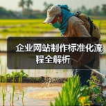 企业网站制作标准化流程全解析（图4）