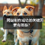网站制作成功的关键因素有哪些？（图3）