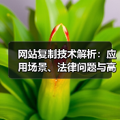 网站复制技术解析:应用场景、法律问题与高效方法(图3) 网站复制技术解析:应用场景、法律问题与高效方法(图3)