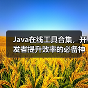 Java在线工具合集,开发者提升效率的必备神器(图4) Java在线工具合集,开发者提升效率的必备神器(图4)