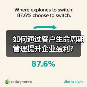 如何通过客户生命周期管理提升企业盈利?(图2) 如何通过客户生命周期管理提升企业盈利?(图2)