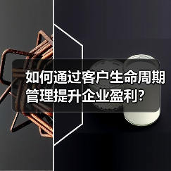 如何通过客户生命周期管理提升企业盈利?(图4) 如何通过客户生命周期管理提升企业盈利?(图4)