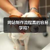 网站制作流程真的容易学吗？（图2）