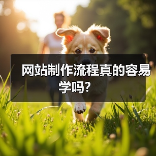 网站制作流程真的容易学吗？（图4）