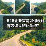 B2B企业官网如何设计高效询盘转化系统？（图2）