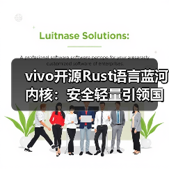 vivo开源Rust语言蓝河内核：安全轻量引领国产操作系统发展（图4）