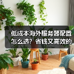 低成本海外服务器配置怎么选？省钱又高效的配置方案（图3）