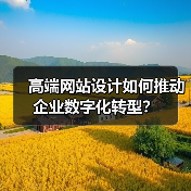 高端网站设计如何推动企业数字化转型？（图2）