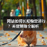 网站如何长期稳定运行？关键策略全解析（图3）