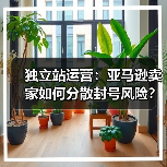 独立站运营:亚马逊卖家如何分散封号风险?(图1) 独立站运营:亚马逊卖家如何分散封号风险?(图1)