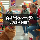 自动优化Meta标签,SEO效率翻倍?(图2) 自动优化Meta标签,SEO效率翻倍?(图2)
