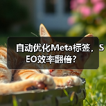 自动优化Meta标签,SEO效率翻倍?(图3) 自动优化Meta标签,SEO效率翻倍?(图3)