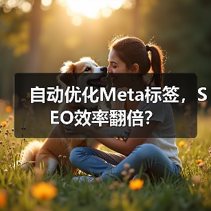 自动优化Meta标签,SEO效率翻倍?(图4) 自动优化Meta标签,SEO效率翻倍?(图4)
