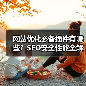 网站优化必备插件有哪些？SEO安全性能全解析