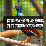 首页核心关键词快速提升百度前3的实战技巧（图4）