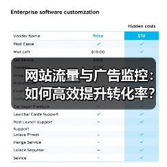 网站流量与广告监控：如何高效提升转化率？（图1）