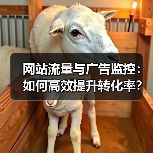 网站流量与广告监控：如何高效提升转化率？（图3）