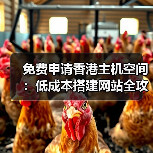 免费申请香港主机空间:低成本搭建网站全攻略(图2) 免费申请香港主机空间:低成本搭建网站全攻略(图2)